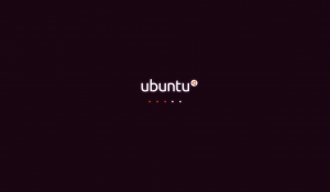 Ubuntu 10.04: boot